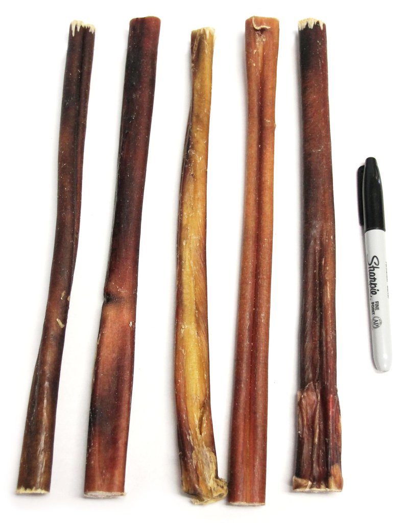 12" Thick Bully Stick Odor Free compared in size to a pen