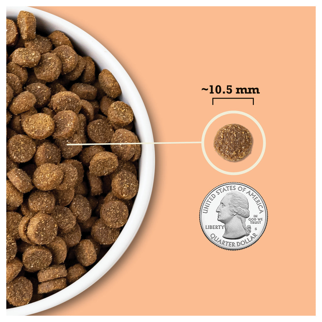 ACANA Wholesome Grains Puppy kibble, with an approximately 10.5 mm round piece shown beside a U.S. quarter for scale.