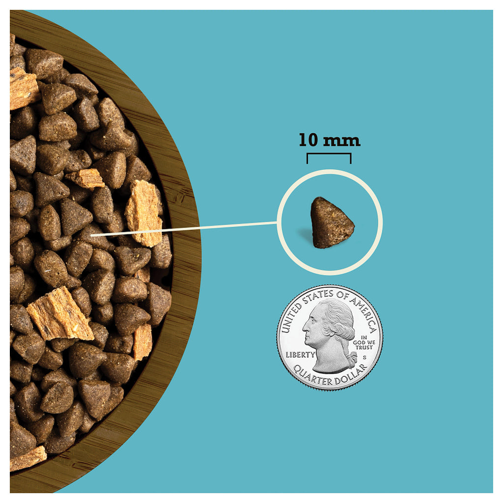 ACANA Butcher’s Favorites salmon kibble and jerky, with a 10 mm kibble piece shown beside a U.S. quarter for scale.