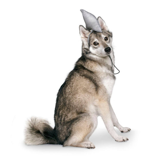 Midlee Shark vs. Lifeguard Halloween Dog Costume