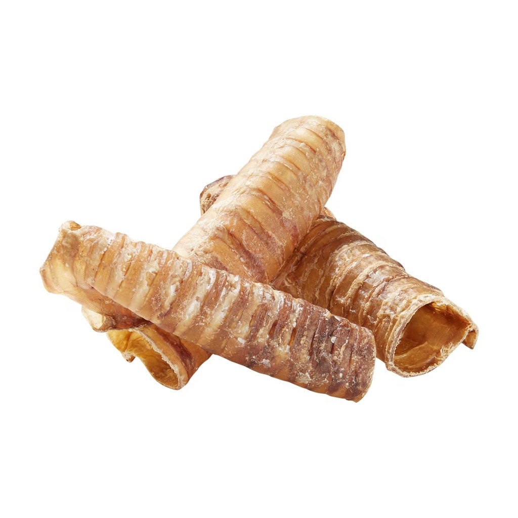 Three 6" Trachea