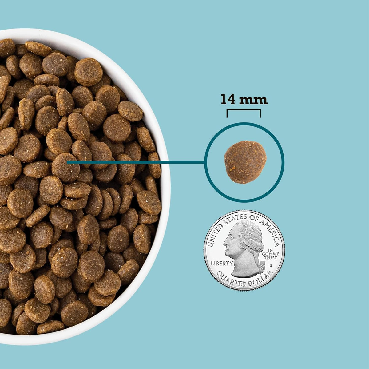 Kibble size compared to a quarter