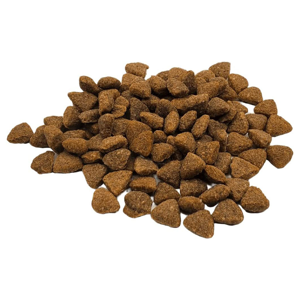 Salmon Chicken & Whitefish Dry Cat Food