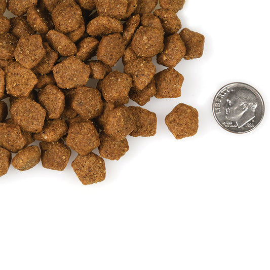 Fromm Four-Star Duck À La Veg Recipe kibble beside a dime for size comparison