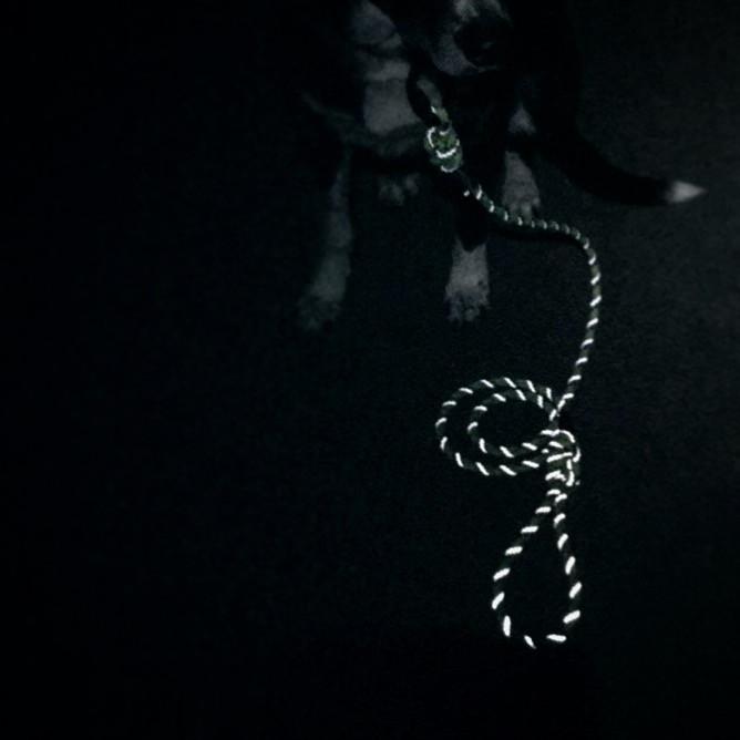 Rope Leash Alpine Reflective