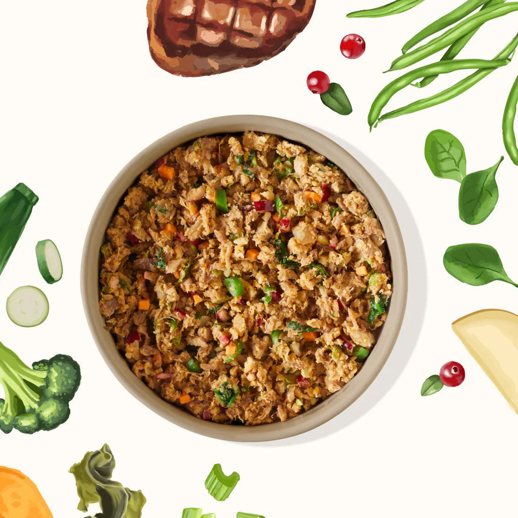 Bowl of My Perfect Pet Beef Recipe surrounded by illustrated ingredients, including spinach, cranberries, broccoli, and green beans