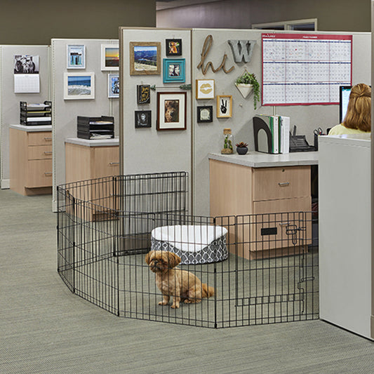 Dog in Contour Exercise Pen