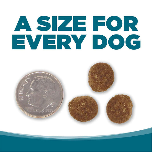 Comparing kibble size of Adult Chicken & Rice Recipe to a dime.