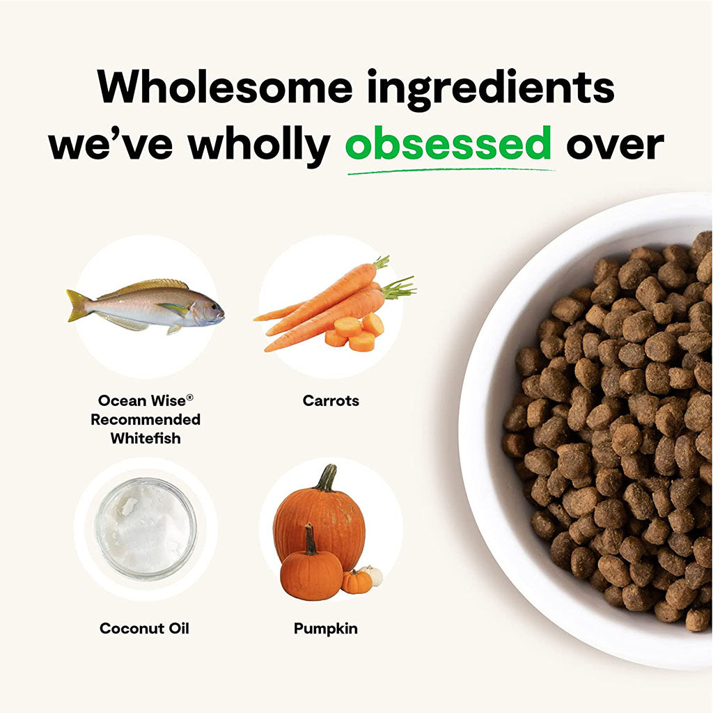 Catch-of-the-Season Whitefish & Green Lentil Recipe fresh ingredients list.