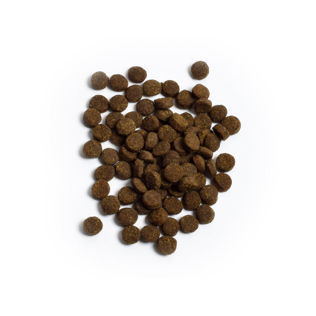 *Wild-Caught Salmon Grain-Free Cat Kibble