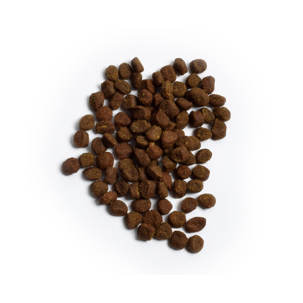 Homestead Turkey & Chicken Grain-Free Cat Kibble