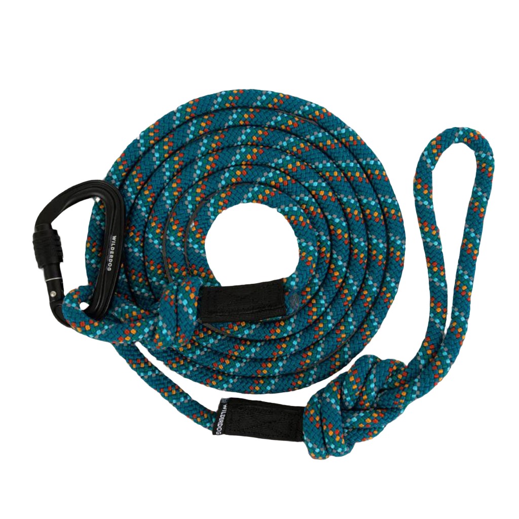 Rope Leash Pacific Blue Reflective