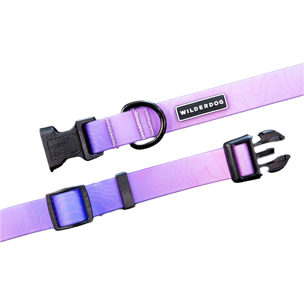 Aurora Waterproof Collar