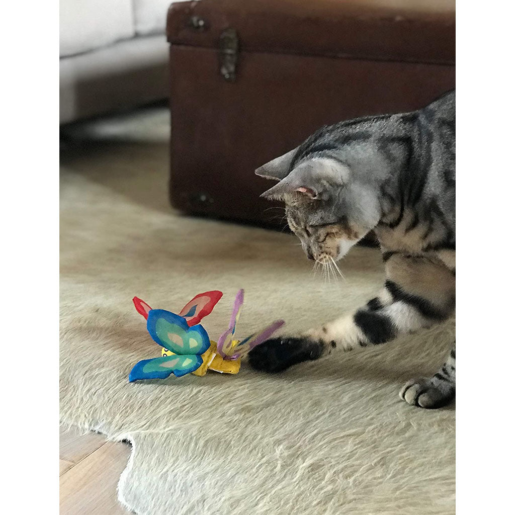 Cat playing w Catnip Butterfly Cat Toy