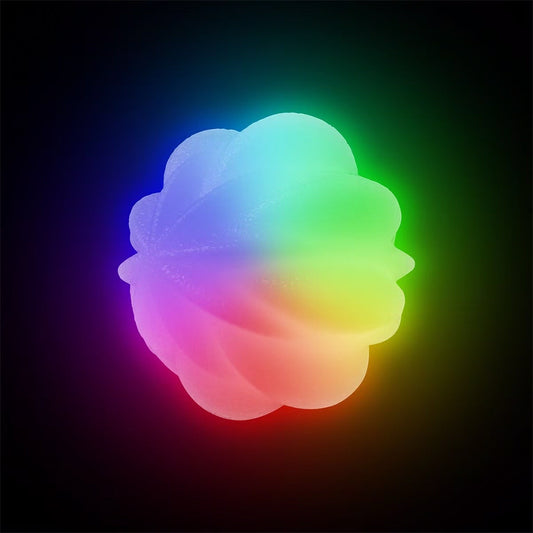 GlowStreak Wild LED Ball-Disc-O Dog Toy Lit up
