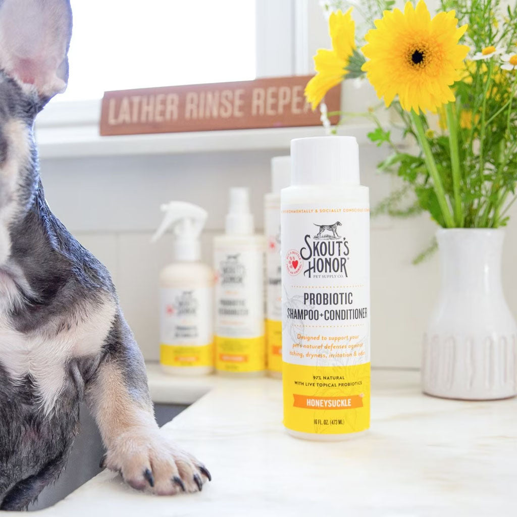 Dog being bathed with Honeysuckle Probiotic Shampoo + Conditioner