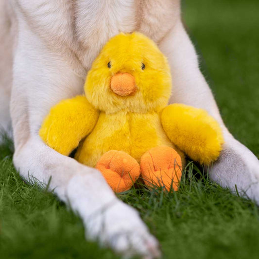Dog with Howie Duck Plush Toy