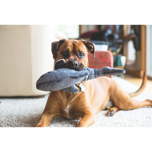 Mac the Shark Plush Toy