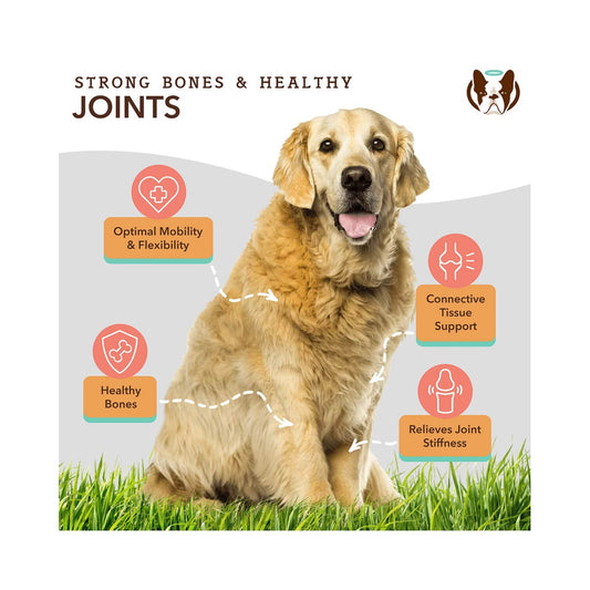 Liquid Glucosamine joint support graphic showing a Golden Retriever on grass with callouts about mobility, flexibility, healthy bones, connective tissue, and joint stiffness.