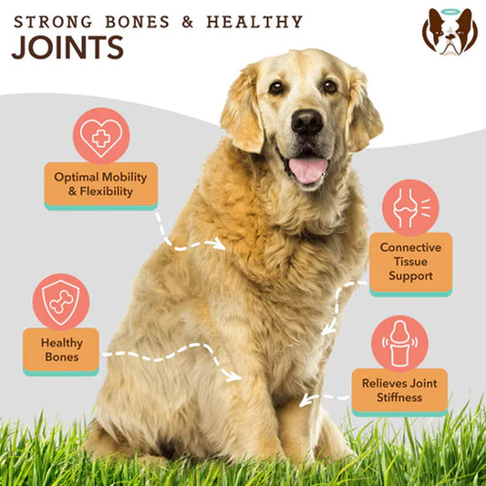 Supports strong bones and healthy joints.