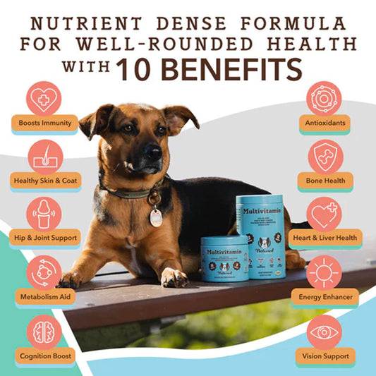 Multivitamin Supplement 90ct