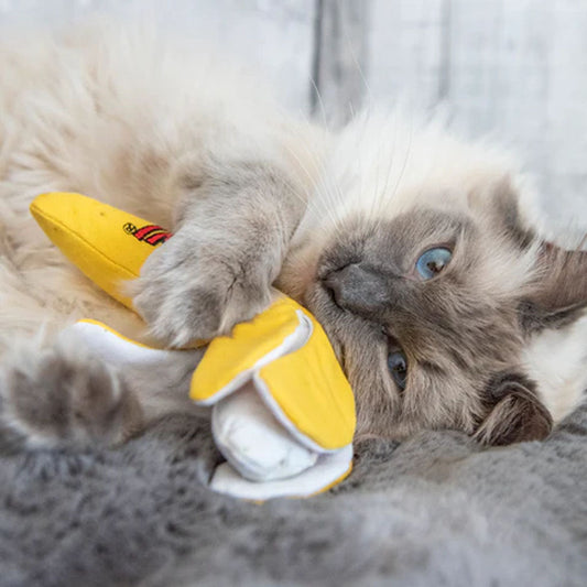 Cat playing with Catnip Peeled Banana Cat Toy