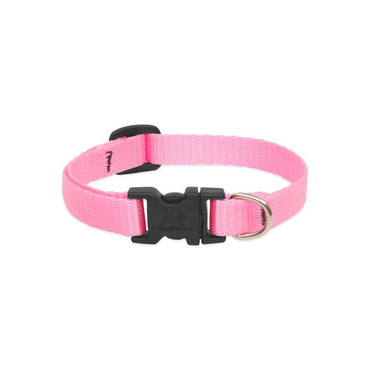 Pink Lupine Pet nylon dog collar showing its adjustable strap, black buckle, and silver D-ring.