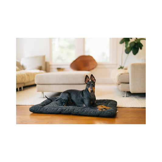 Black and tan dog resting on a P.L.A.Y. Nightfall Chill Pad on a wooden floor in a living room.