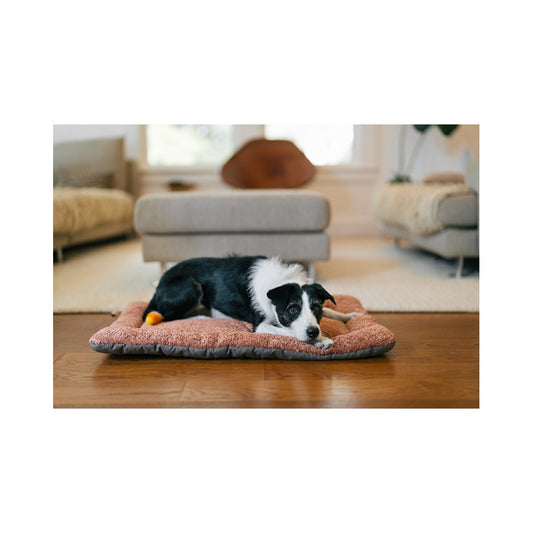 Black and white dog lying on a P.L.A.Y. Terracotta Chill Pad on a wooden floor in a living room.