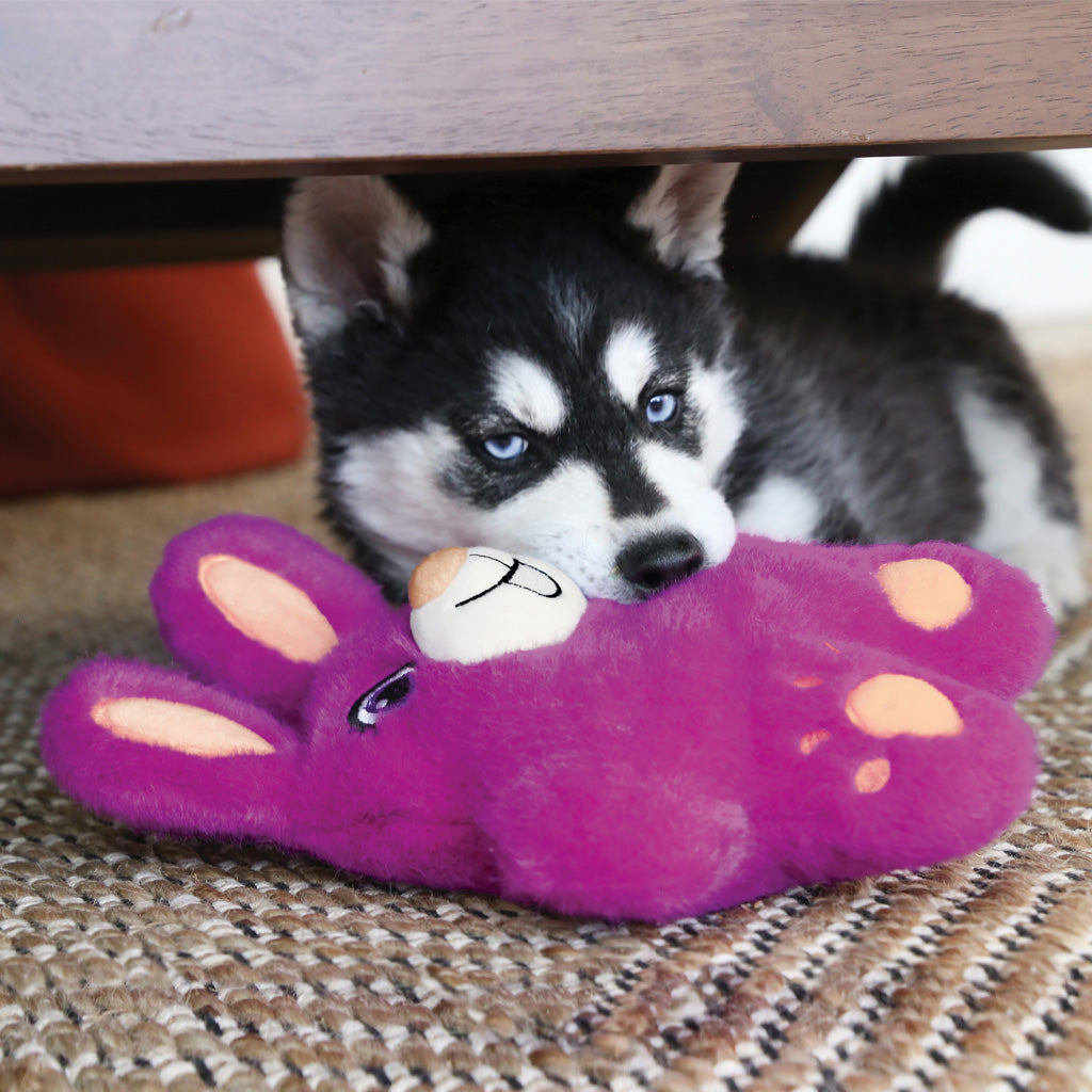Black-and-white puppy lying under a table with a purple KONG Snuzzles Bunny plush toy.