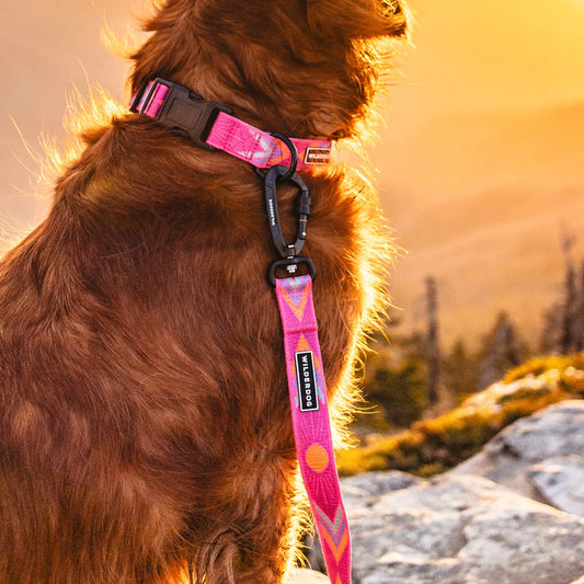 Playa Ultralight Leash