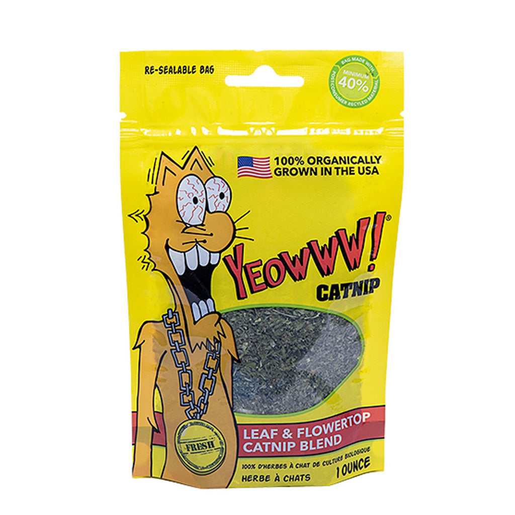 Catnip 2oz Bag