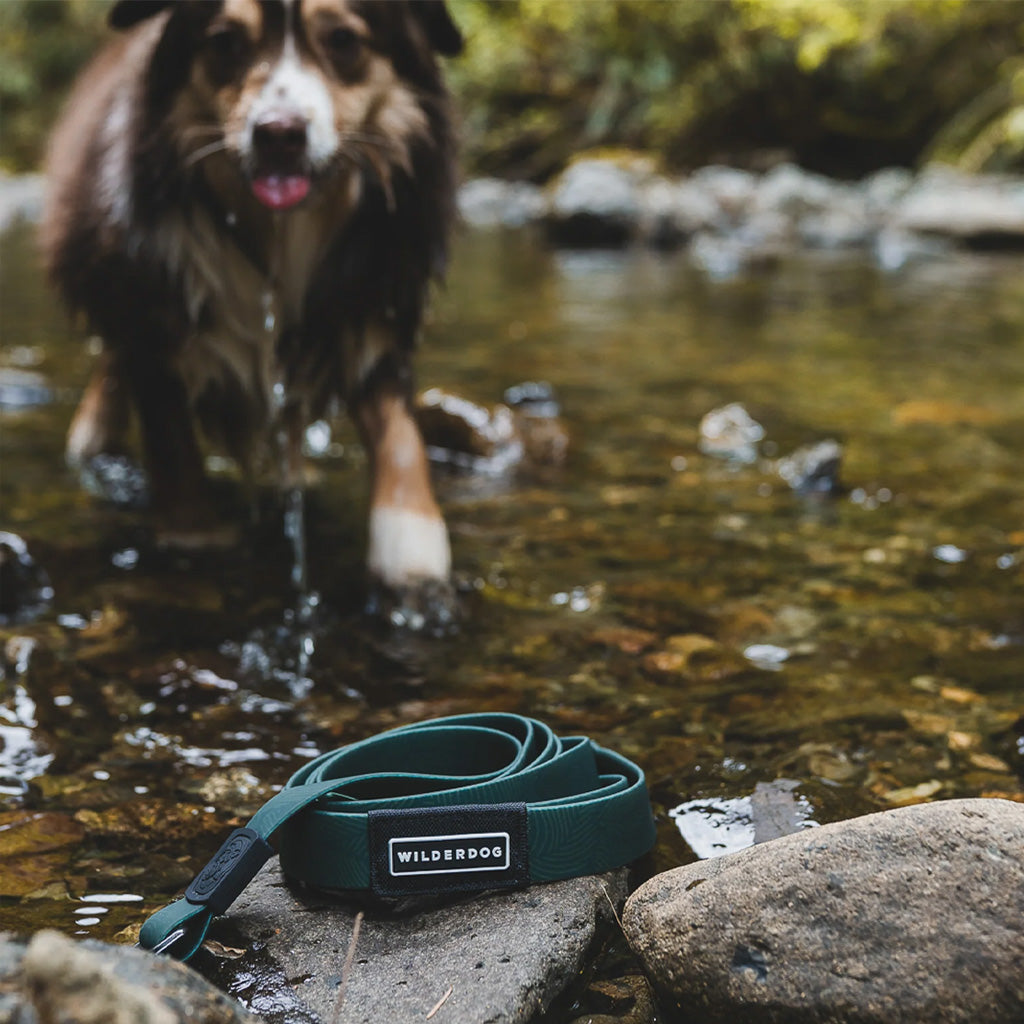 Cedar Waterproof Leash