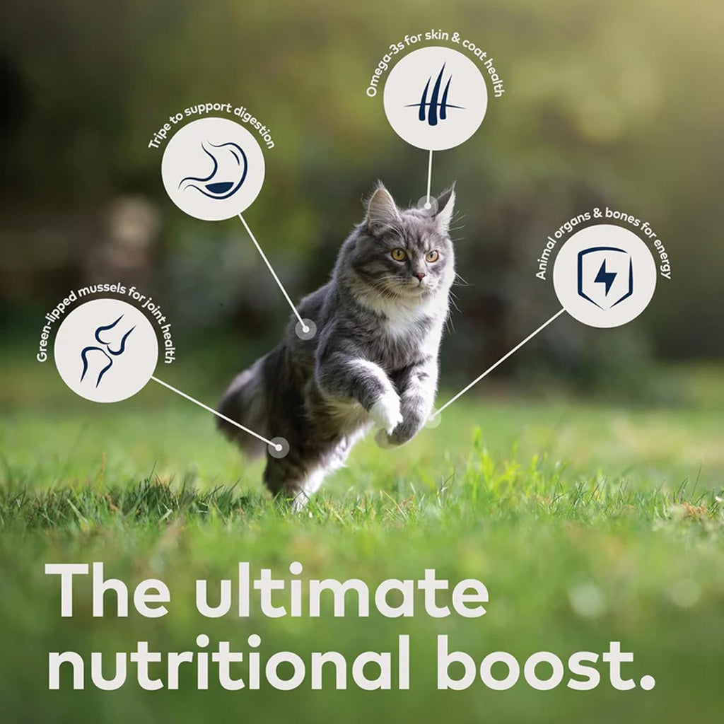 ZIWI Peak Chicken Air-Dried Cat Food 14oz