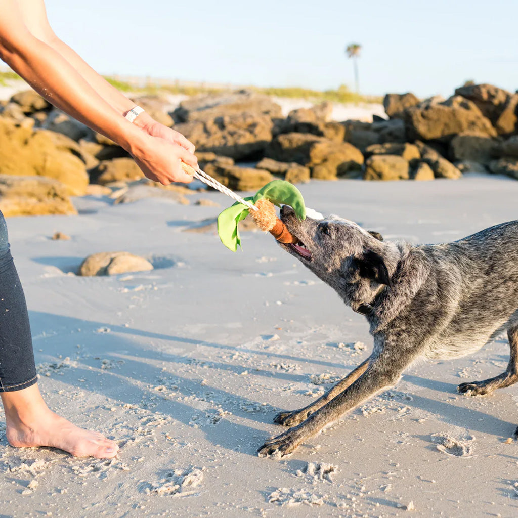Tropical Paradise Puppy Palm Plush Toy being tugged on with human and dog