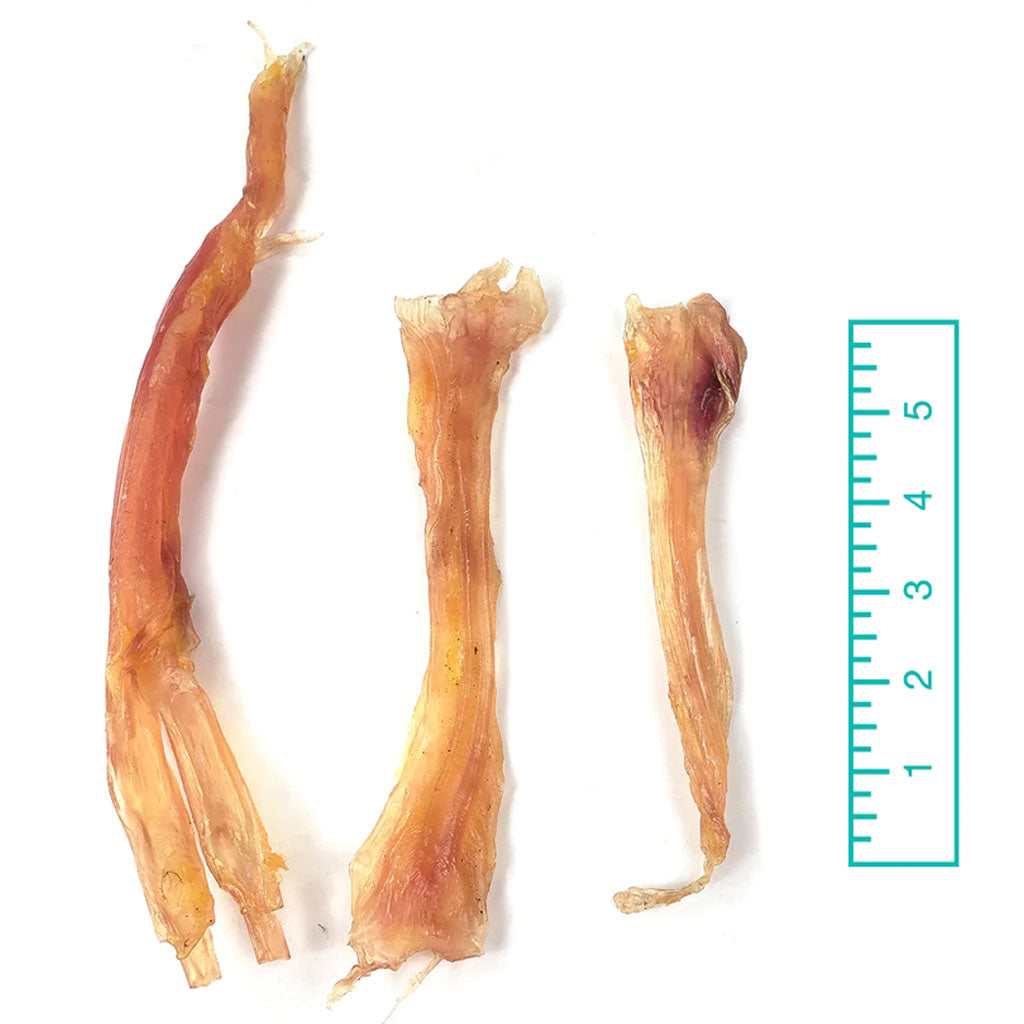 Assorted Beef Tendons 8oz compared to a ruler
