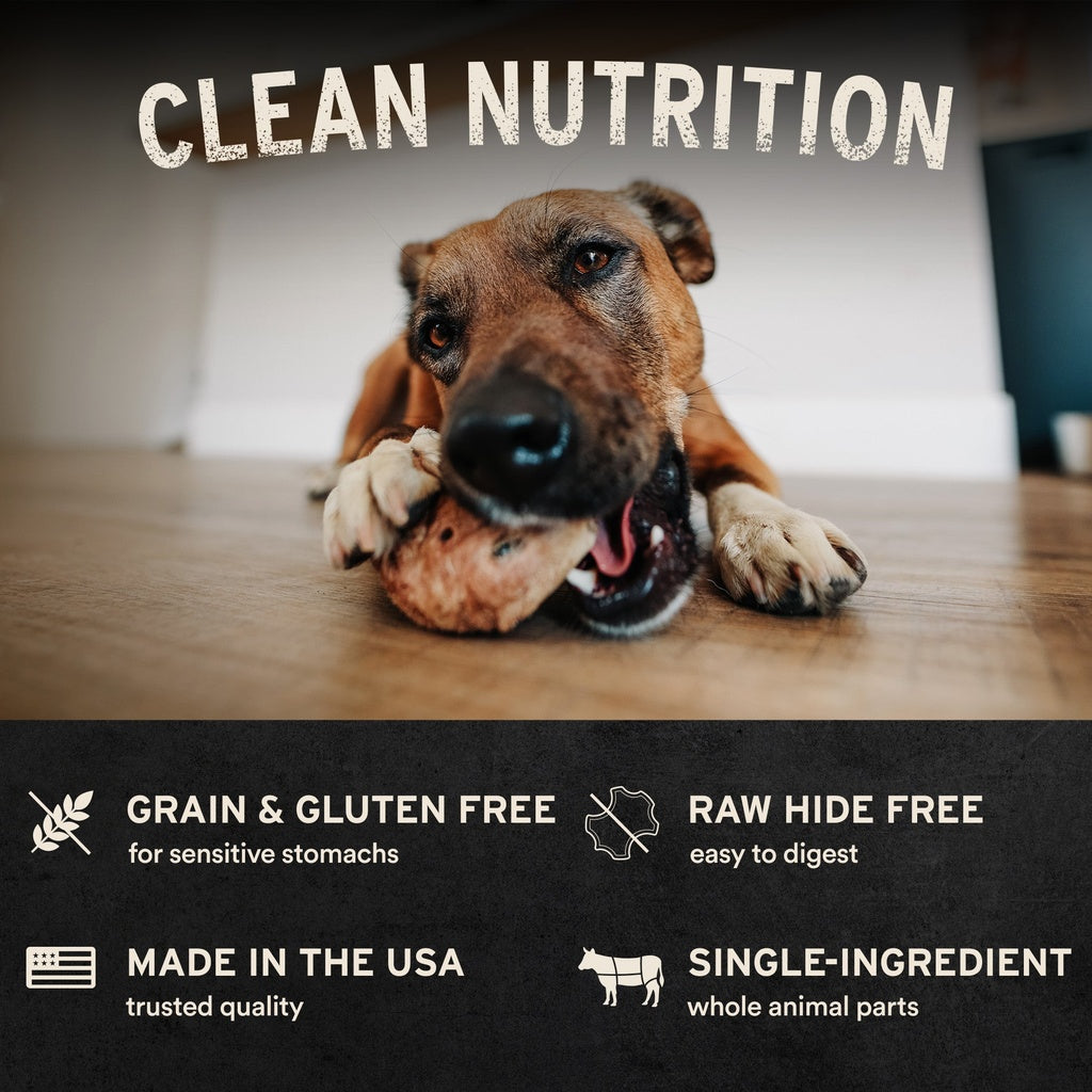 (Raw Bar) Freeze-dried Chicken Necks 1.23oz