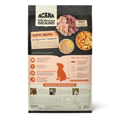 Back of ACANA Wholesome Grains Puppy Recipe dog food bag, showing recipe information, ingredients, and feeding guidance.