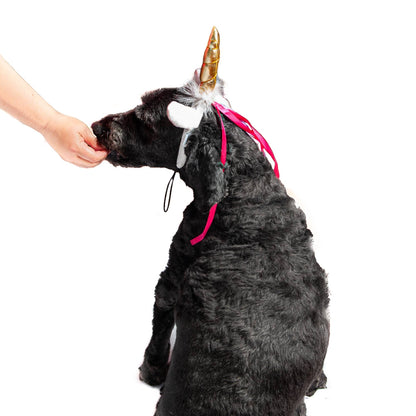 Midlee Dog Unicorn Headband Halloween Costume