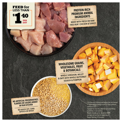 ACANA Wholesome Grains Puppy ingredients: chicken and turkey, sorghum, millet, oats, butternut squash, and pumpkin in bowls.
