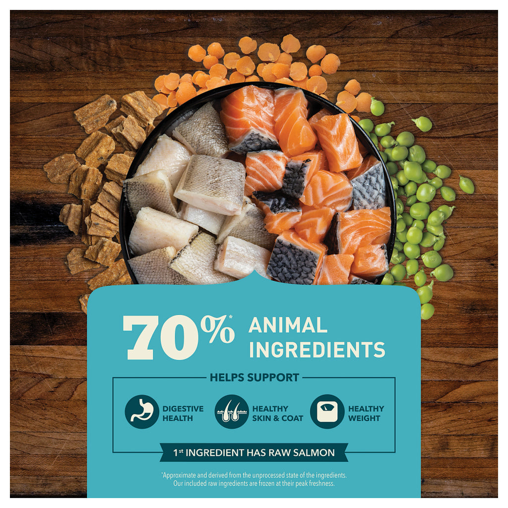 ACANA Wild-Caught Salmon Recipe ingredient graphic with fish, jerky, peas, and lentils; 70% animal ingredients and raw salmon first.