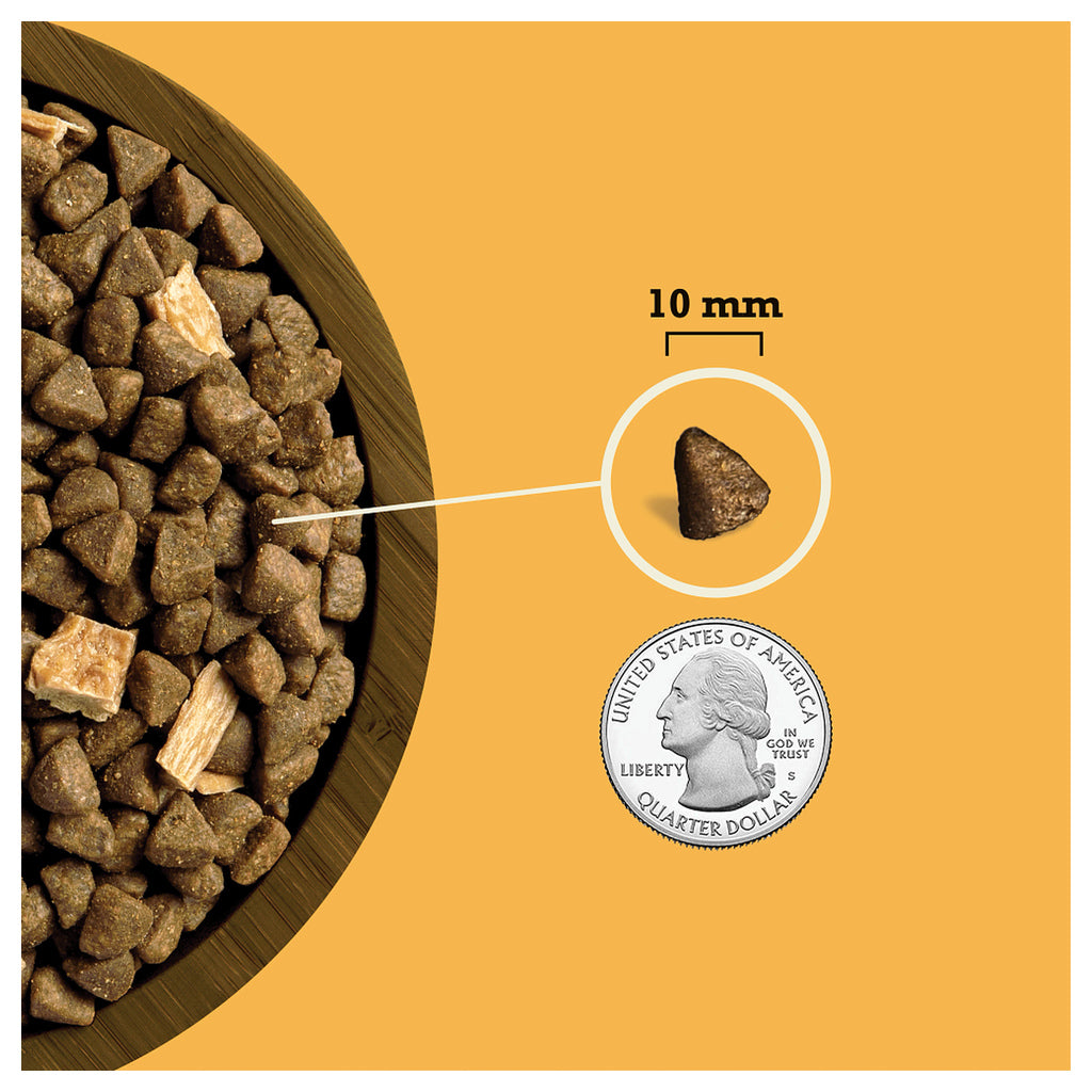 ACANA Butcher’s Favorites poultry kibble and chicken jerky, with a 10 mm kibble piece shown beside a U.S. quarter for scale.
