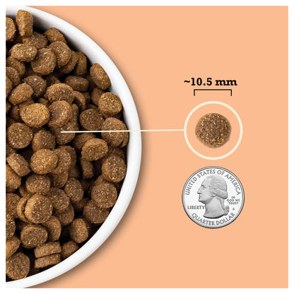 ACANA Wholesome Grains Puppy kibble, with an approximately 10.5 mm round piece shown beside a U.S. quarter for scale.