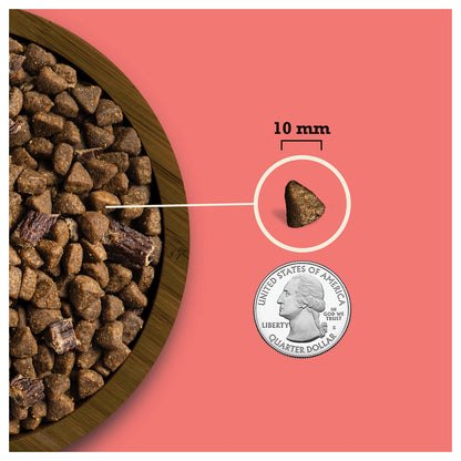 ACANA Butcher’s Favorites beef kibble and jerky, with a 10 mm kibble piece shown beside a U.S. quarter for scale.