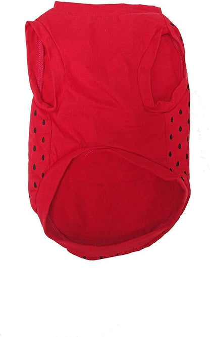 Midlee Strawberry Dog Costume
