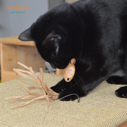 Cat playing with Cuttlefish Wand Attachment Replacement
