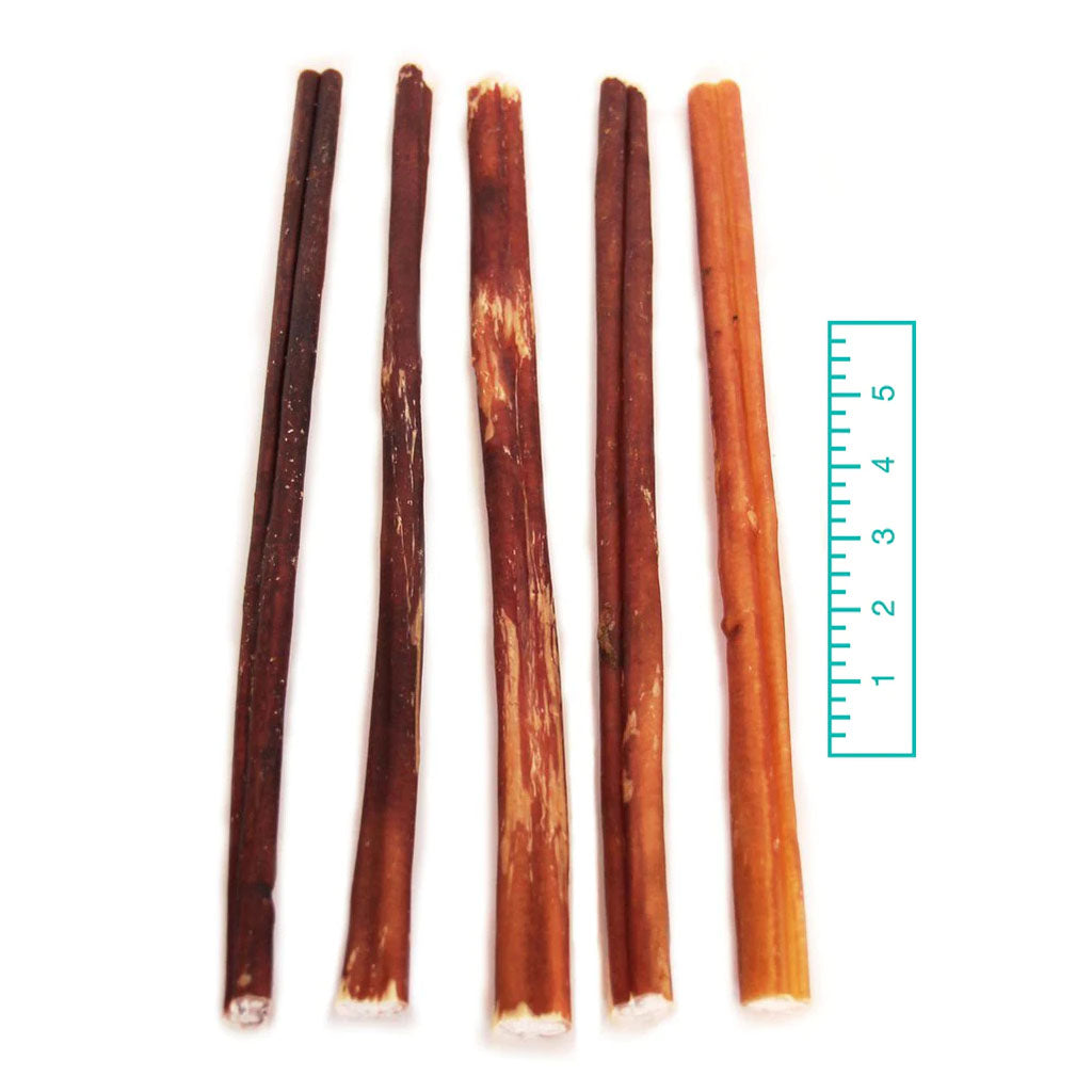 Ruler measurement of 12" Bully Stick Odor Free 16oz