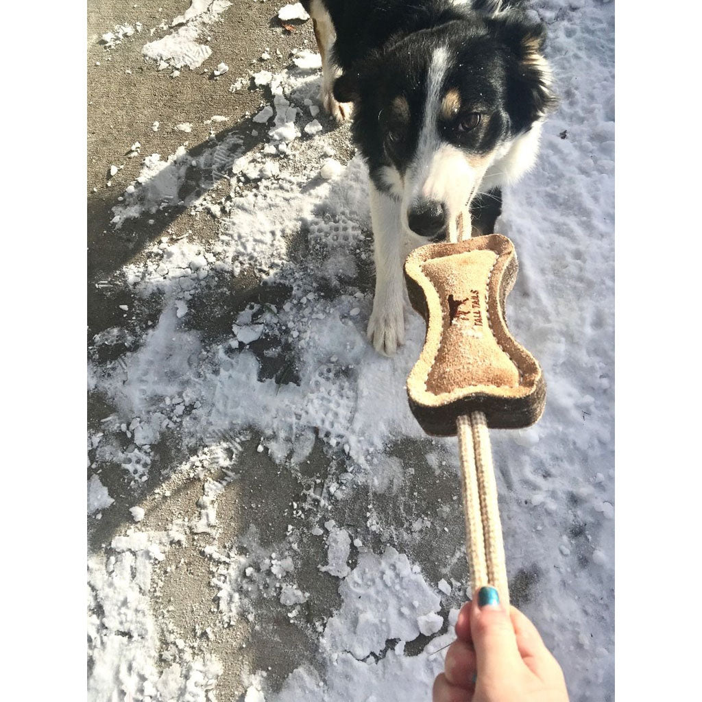 Person and black-and-white dog playing tug with a Tall Tails leather and wool bone toy on a snowy path
