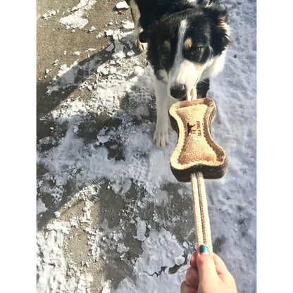 Person and black-and-white dog playing tug with a Tall Tails leather and wool bone toy on a snowy path