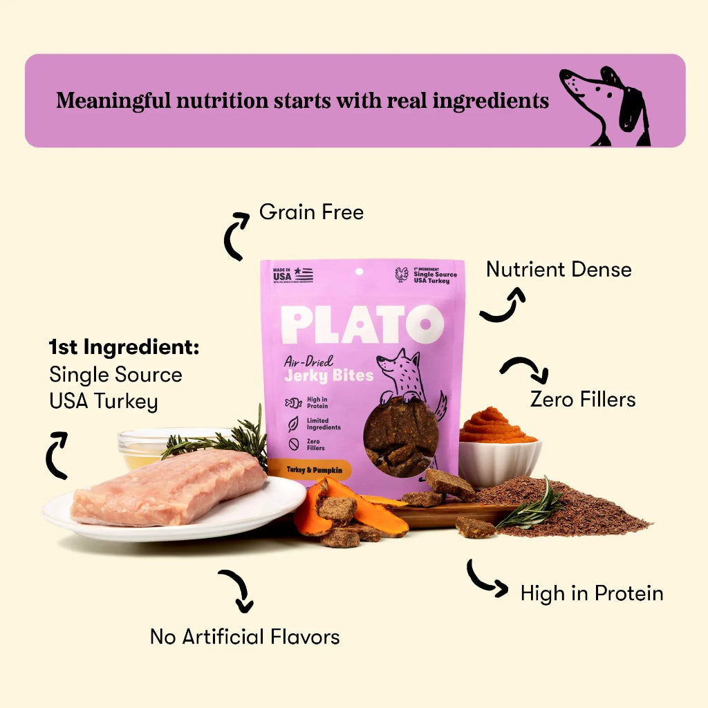 Plato Turkey with Pumpkin Jerky Bites ingredient graphic with turkey, pumpkin, seeds and treats, highlighting grain-free and high-protein nutrition.